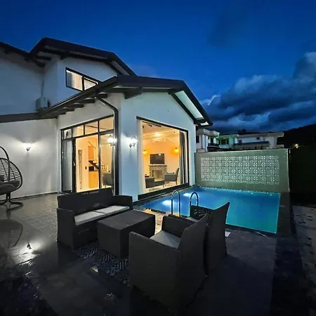 Beyaz Villa Heated Pool Villa Sakarya